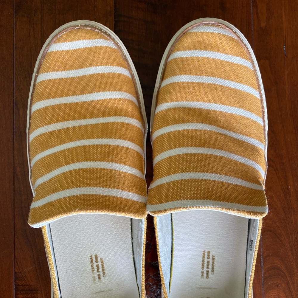 Yellow Toms